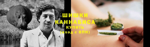 шишки Армянск